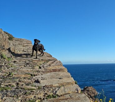 Cap de Creus z psem